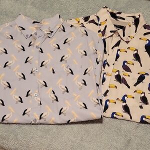 Men's Bird Print Casual Button Down Shirts - Light Blue and Cream